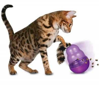 Did you know there's a KONG for your kitty? logo