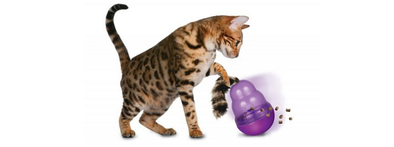 Did you know there's a KONG for your kitty? logo