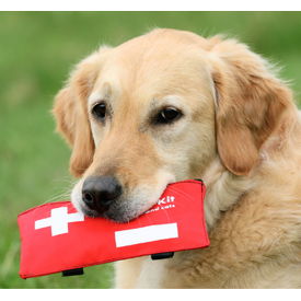 Be Aware - Preparing your Pets in Natural Disasters logo