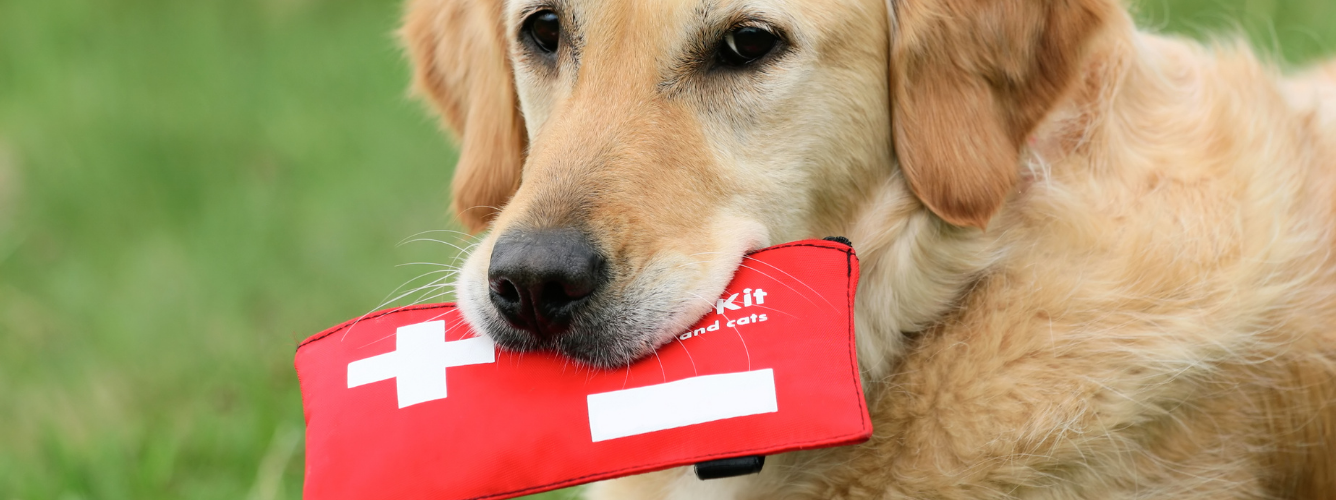 Be Aware - Preparing your Pets in Natural Disasters logo