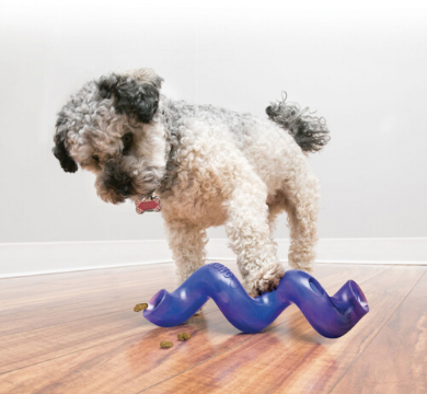 And the Winner of the June Lucky Pet Prize is... logo
