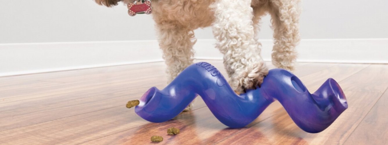 And the Winner of the June Lucky Pet Prize is... logo
