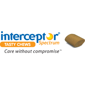 Interceptor logo