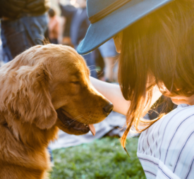 Essential Summer Safety Tips for Pets logo