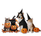 Halloween mobile image