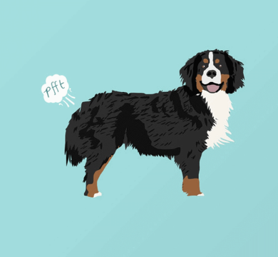 We need to talk about ... Dog Farts logo