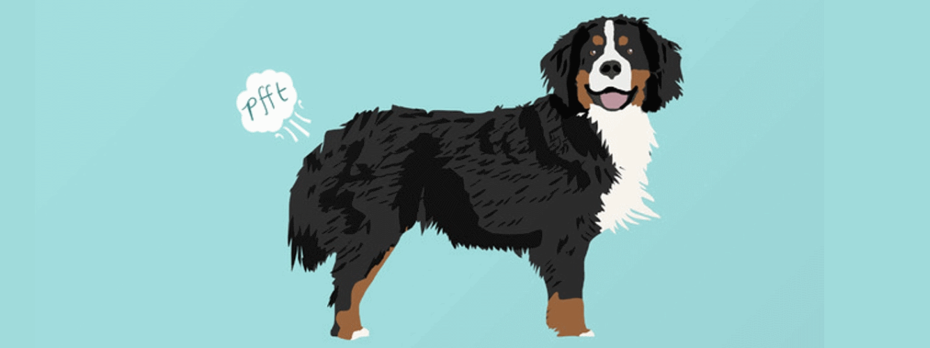 We need to talk about ... Dog Farts logo